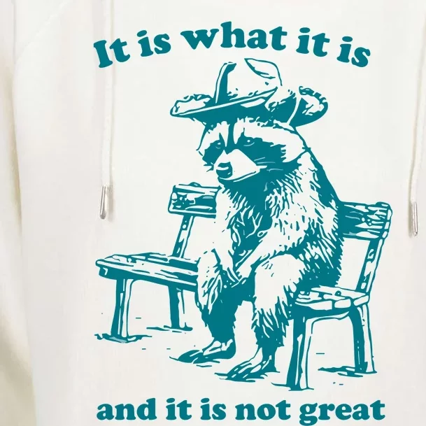 It Is What It Is And It Is Not Great Funny Raccoon Sarcastic Womens Funnel Neck Pullover Hood