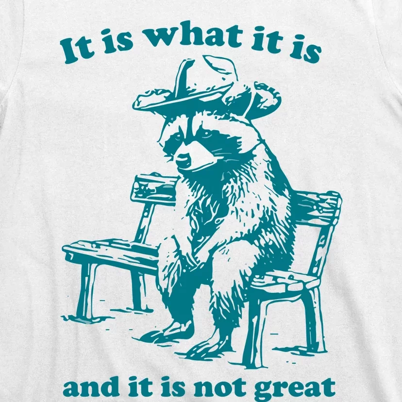 It Is What It Is And It Is Not Great Funny Raccoon Sarcastic T-Shirt