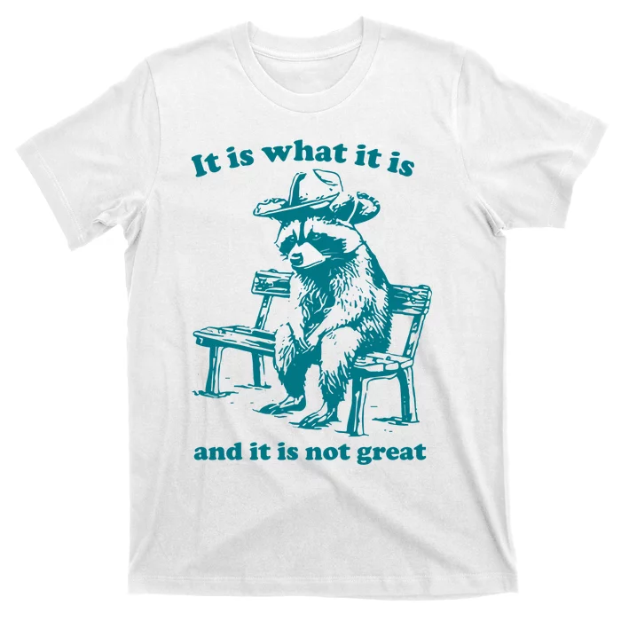 It Is What It Is And It Is Not Great Funny Raccoon Sarcastic T-Shirt