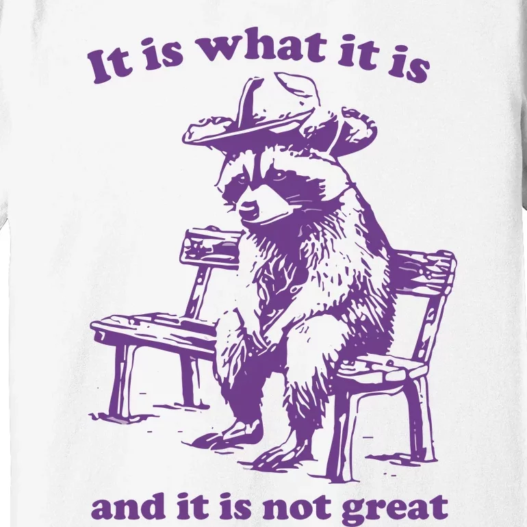 It Is What It Is And It Is Not Great Funny Raccoon Sarcastic Premium T-Shirt