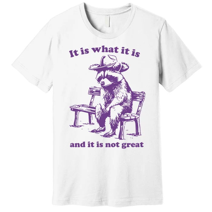 It Is What It Is And It Is Not Great Funny Raccoon Sarcastic Premium T-Shirt