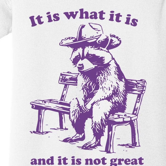 It Is What It Is And It Is Not Great Funny Raccoon Sarcastic Baby Bodysuit