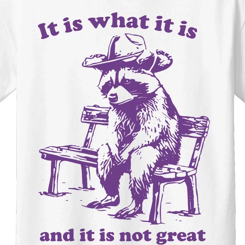 It Is What It Is And It Is Not Great Funny Raccoon Sarcastic Kids T-Shirt