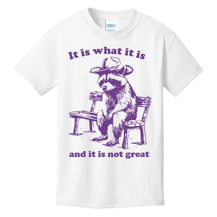 It Is What It Is And It Is Not Great Funny Raccoon Sarcastic Kids T-Shirt