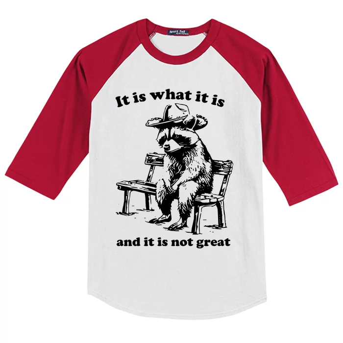 It Is What It Is And It Is Not Great Funny Raccoon Sarcastic Kids Colorblock Raglan Jersey