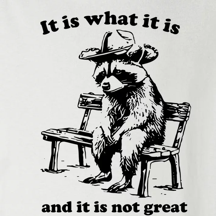 It Is What It Is And It Is Not Great Funny Raccoon Sarcastic Toddler Long Sleeve Shirt