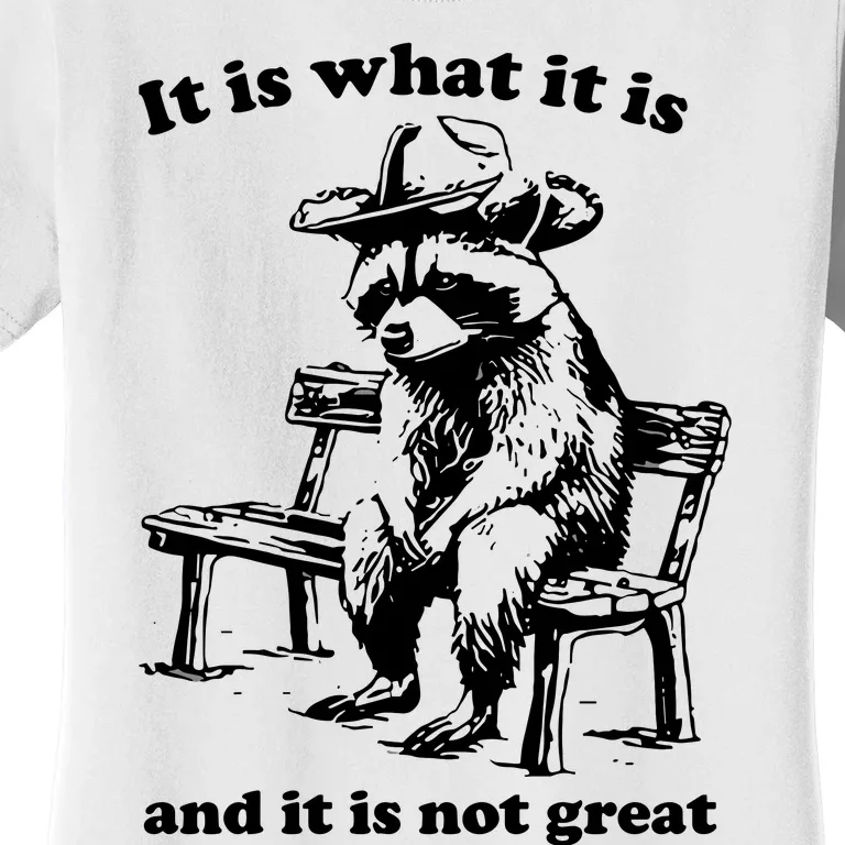 It Is What It Is And It Is Not Great Funny Raccoon Sarcastic Women's T-Shirt