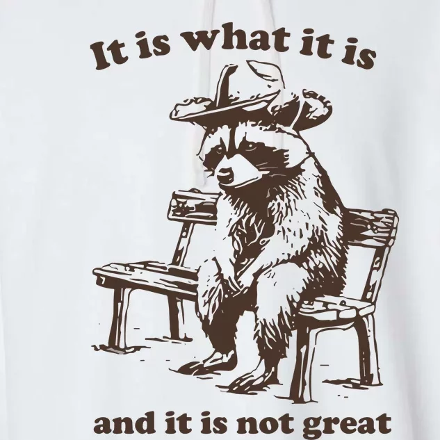 It Is What It Is And It Is Not Great Funny Raccoon Sarcastic Garment-Dyed Fleece Hoodie