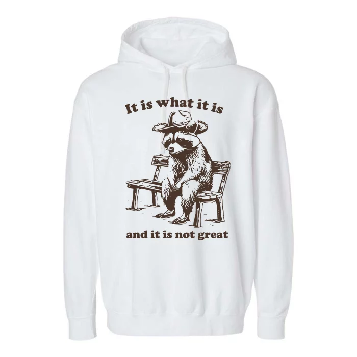 It Is What It Is And It Is Not Great Funny Raccoon Sarcastic Garment-Dyed Fleece Hoodie