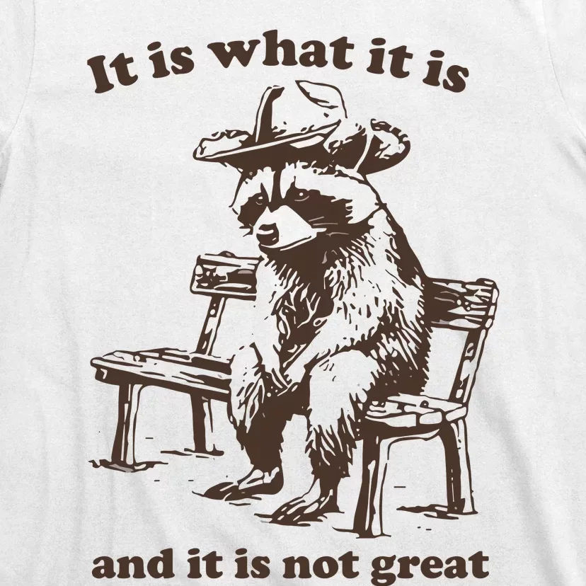 It Is What It Is And It Is Not Great Funny Raccoon Sarcastic T-Shirt