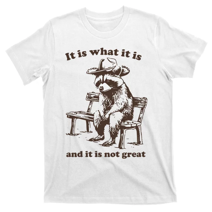 It Is What It Is And It Is Not Great Funny Raccoon Sarcastic T-Shirt