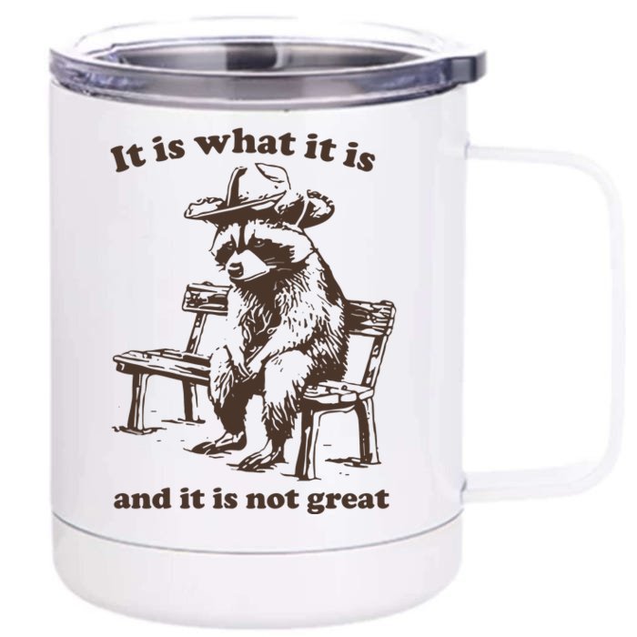 It Is What It Is And It Is Not Great Funny Raccoon Sarcastic 12 oz Stainless Steel Tumbler Cup