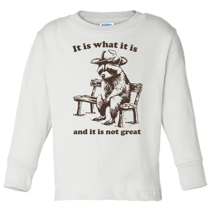 It Is What It Is And It Is Not Great Funny Raccoon Sarcastic Toddler Long Sleeve Shirt