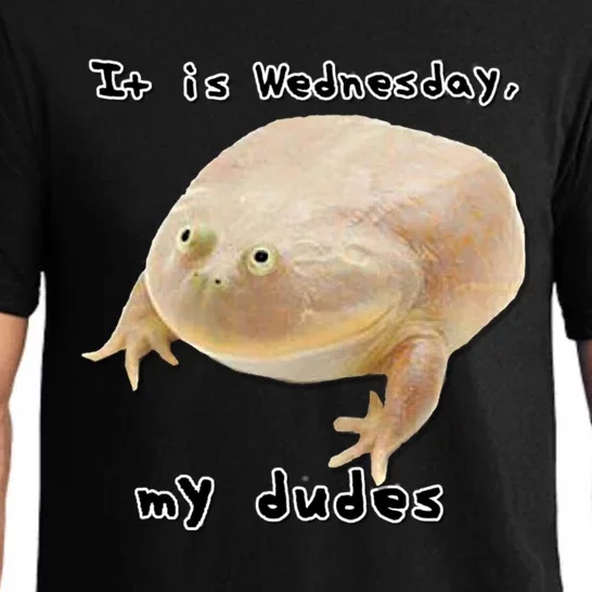 It Is Wednesday My Dudes Funny Classic Frog Meme Original Gift Pajama Set