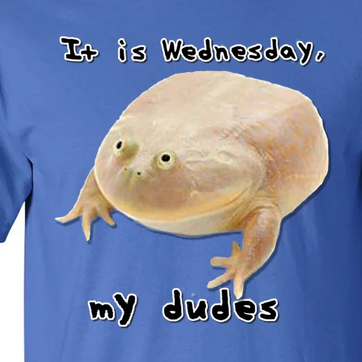 It Is Wednesday My Dudes Funny Classic Frog Meme Original Gift Tall T-Shirt