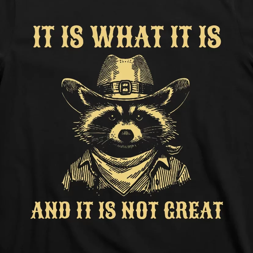 It Is What It Is And Its Not Great Funny Raccoon T-Shirt