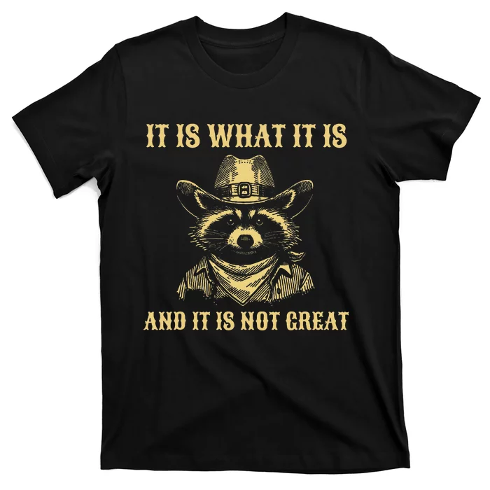 It Is What It Is And Its Not Great Funny Raccoon T-Shirt