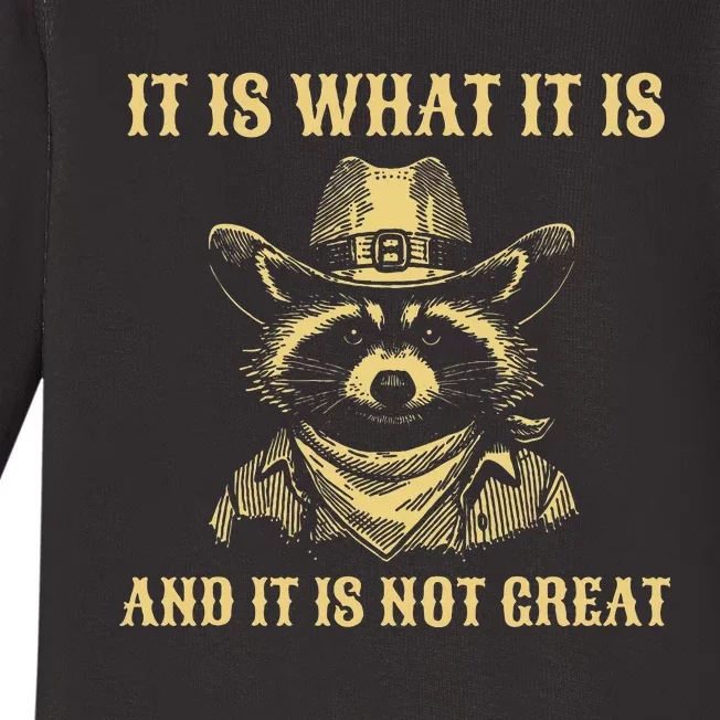 It Is What It Is And Its Not Great Funny Raccoon Baby Long Sleeve Bodysuit