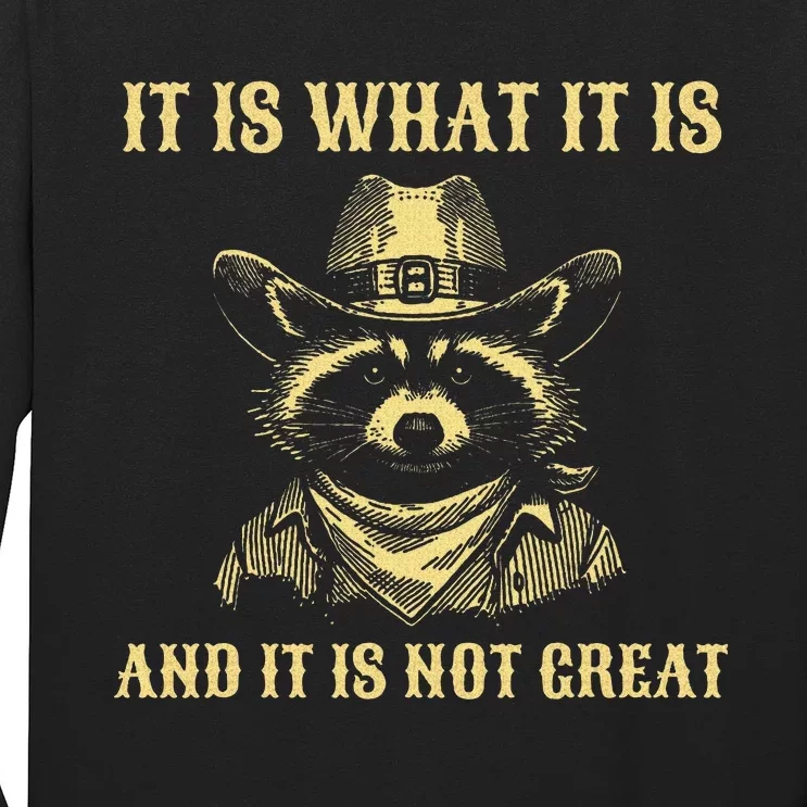 It Is What It Is And Its Not Great Funny Raccoon Long Sleeve Shirt