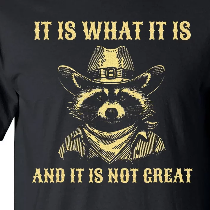 It Is What It Is And Its Not Great Funny Raccoon Tall T-Shirt