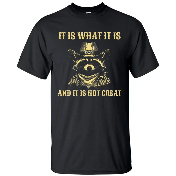 It Is What It Is And Its Not Great Funny Raccoon Tall T-Shirt