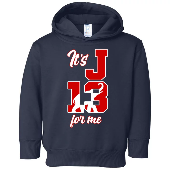 Its January 13 For Me Delta Sigma Theta Toddler Hoodie