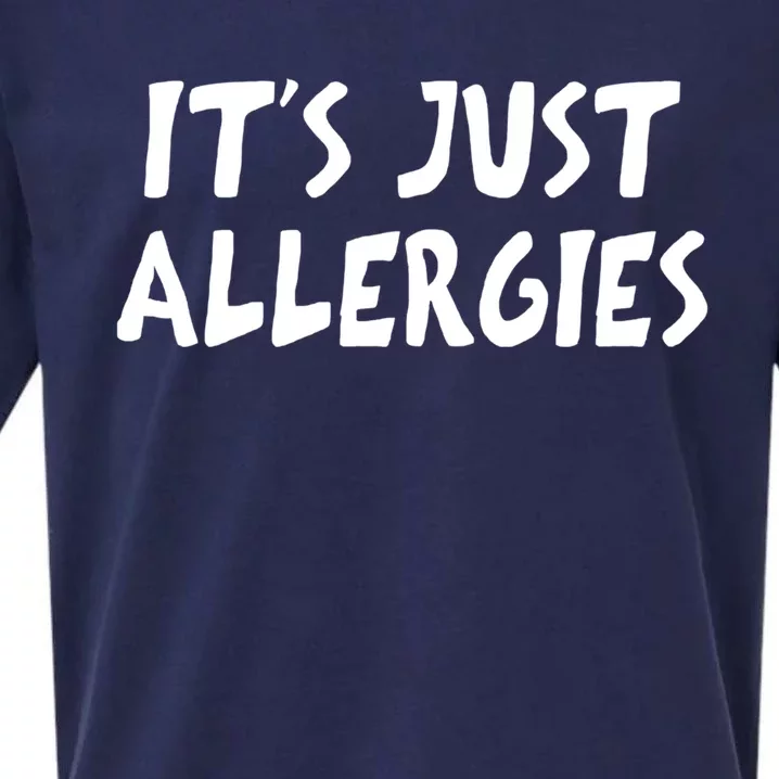 It's Just Allergies Gift Sueded Cloud Jersey T-Shirt