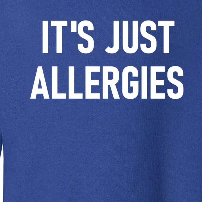 It's Just Allergies Funny Sarcastic Jokes Family Cute Gift Toddler Sweatshirt