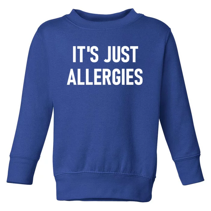 It's Just Allergies Funny Sarcastic Jokes Family Cute Gift Toddler Sweatshirt