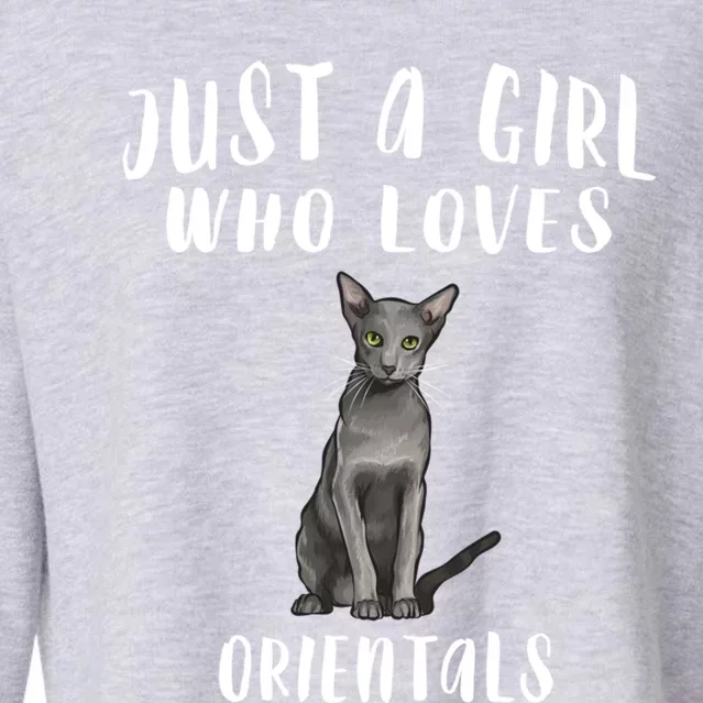 Im Just A Who Loves Orientals Cat Lover Gift Cropped Pullover Crew