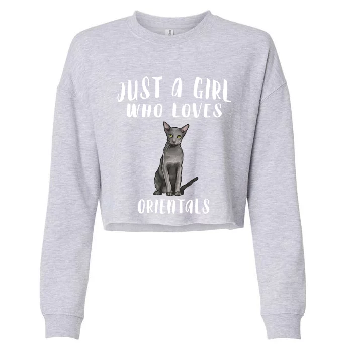 Im Just A Who Loves Orientals Cat Lover Gift Cropped Pullover Crew