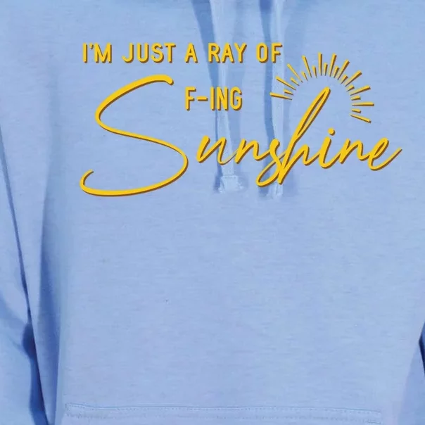 IM Just A Ray Of Fing Sunshine Sarcastic Funny Adult Humor Gift Unisex Surf Hoodie