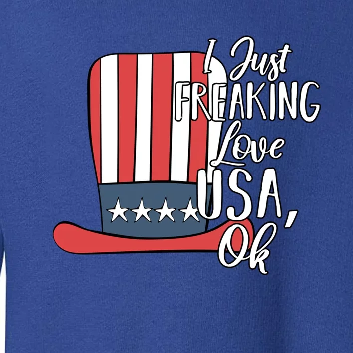 I Just Freaking Love Usa Ok Funny Gift Usa Patriotic 4th Of July Great Gift Toddler Sweatshirt