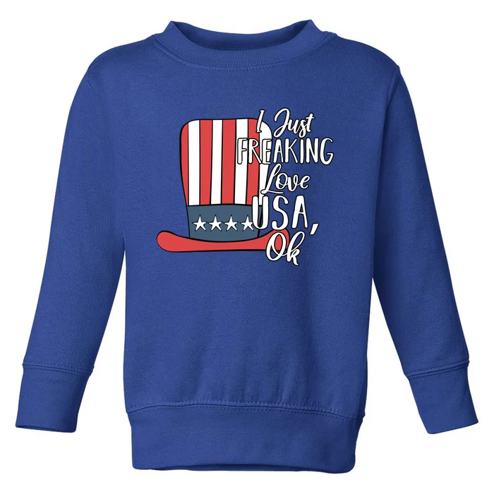 I Just Freaking Love Usa Ok Funny Gift Usa Patriotic 4th Of July Great Gift Toddler Sweatshirt