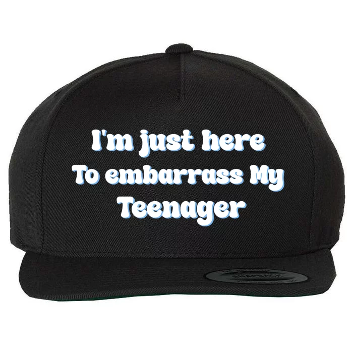 IM Just Here To Embarrass My Teenager Funny Wool Snapback Cap