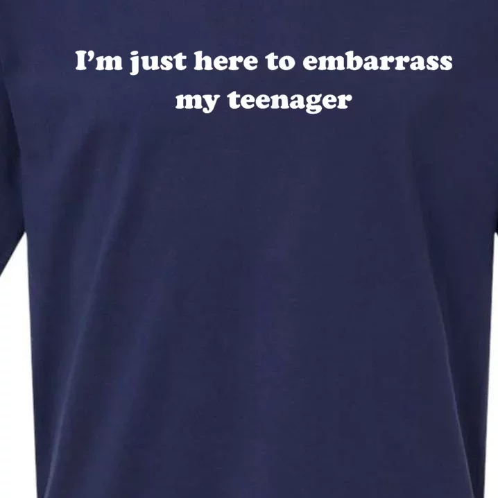 Im Just Here To Embarrass My Teenager Funny Saying Humor Sueded Cloud Jersey T-Shirt