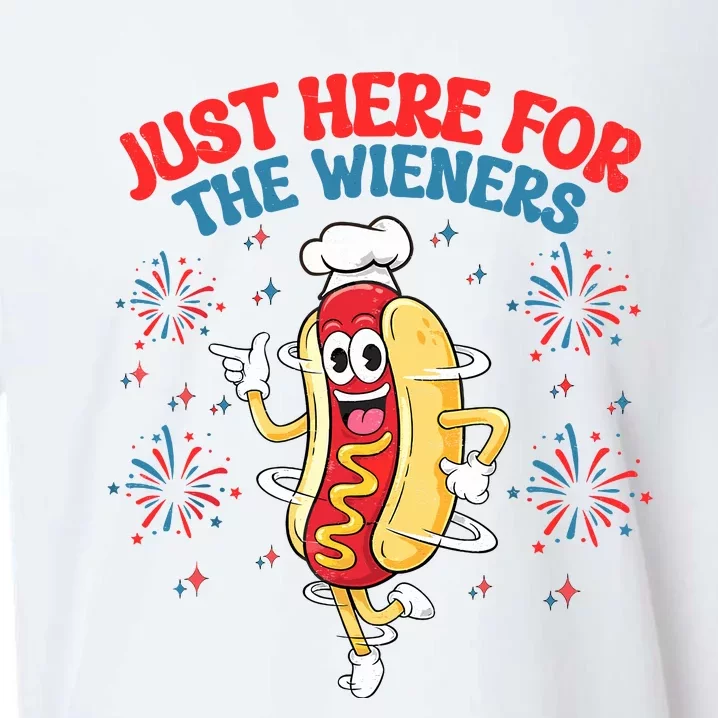 IM Just Here For The Wieners 4th Of July Hot Dog Sueded Cloud Jersey T-Shirt