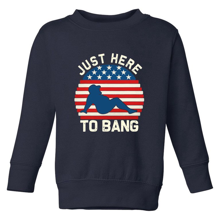 I’m Just Here To Bang Fireworks Funny 4th Of July Toddler Sweatshirt