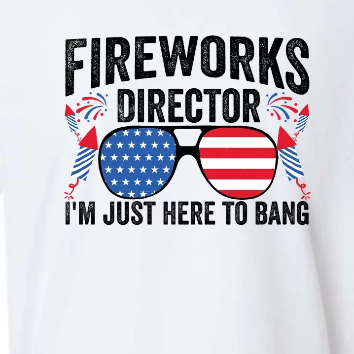 Im Just Here To Bang Fireworks Director 4th Of July Sueded Cloud Jersey T-Shirt