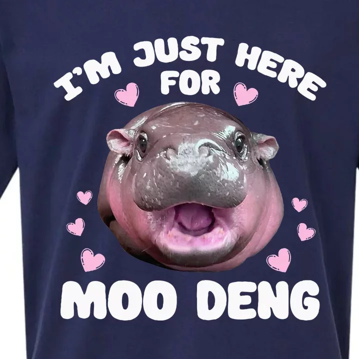 Im Just Here For Moo Deng Sueded Cloud Jersey T-Shirt