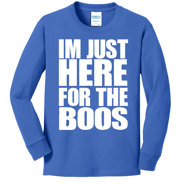 Im Just Here For The Boos I Am Just Here For The Booze Gift Kids Long Sleeve Shirt