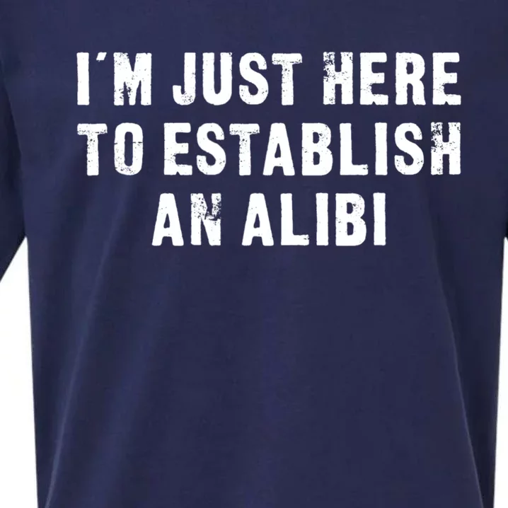 I'm Just Here To Establish An Alibi Funny Saying Sueded Cloud Jersey T-Shirt