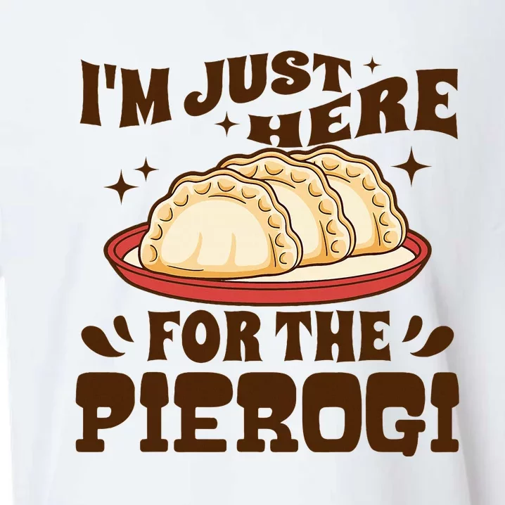 IM Just Here For The Pierogi Polish Food Poland Sueded Cloud Jersey T-Shirt