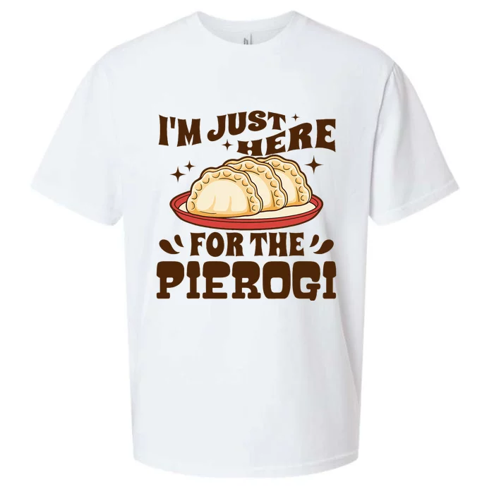 IM Just Here For The Pierogi Polish Food Poland Sueded Cloud Jersey T-Shirt