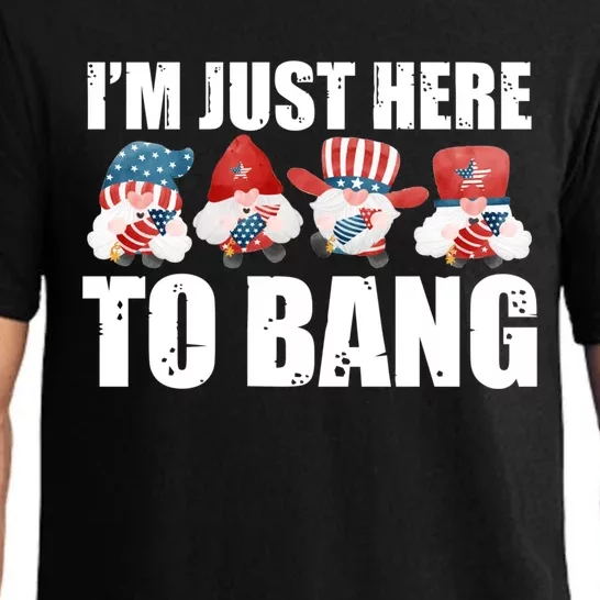 Im Just Here To Bang Fireworks Director Usa Meaningful Gift Pajama Set