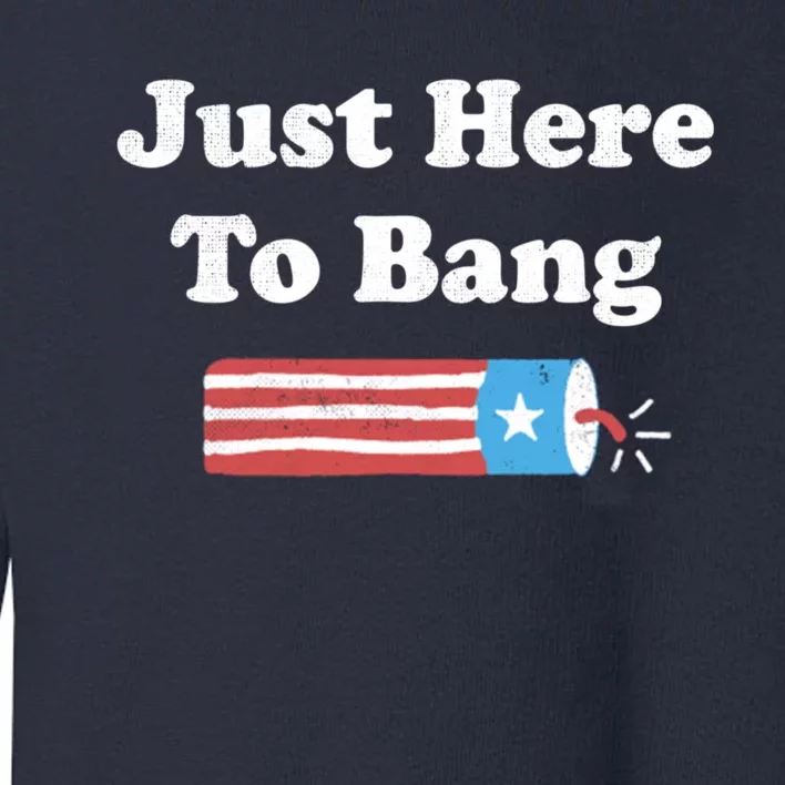 Im Just Here To Bang Toddler Sweatshirt