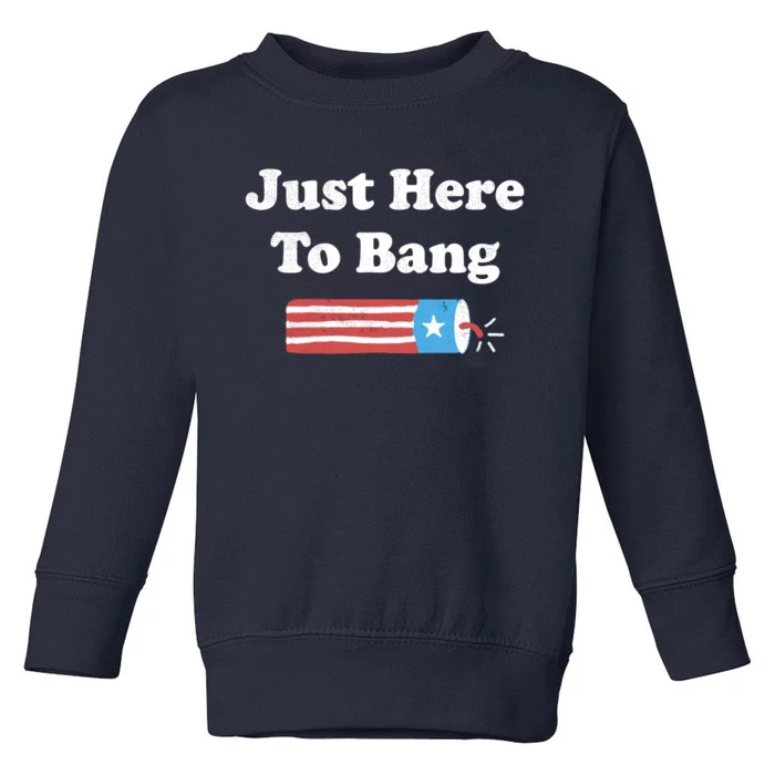 Im Just Here To Bang Toddler Sweatshirt