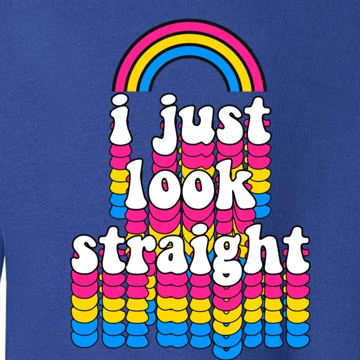 I Just Look Straight Pansexual Pride Flag Gift Funny Gift Toddler Sweatshirt