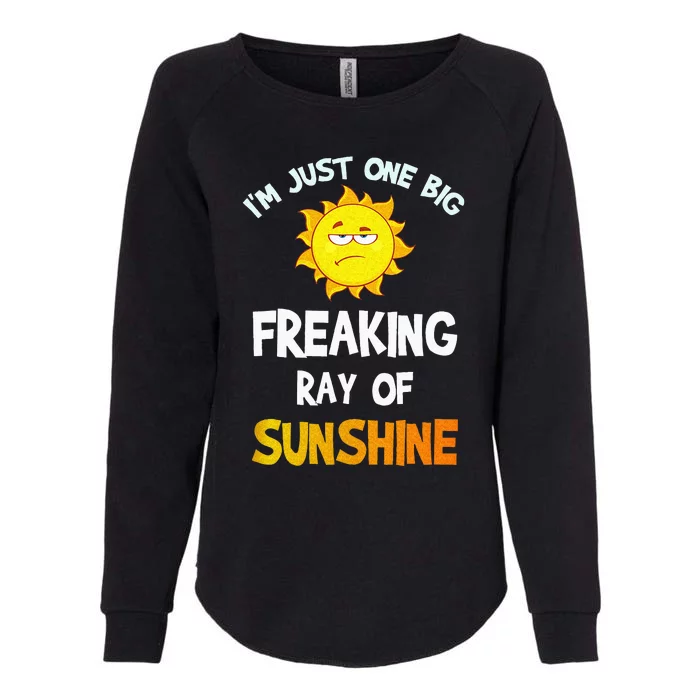 Im Just One Big Freaking Ray Of Sunshine Funny Idea Womens California Wash Sweatshirt