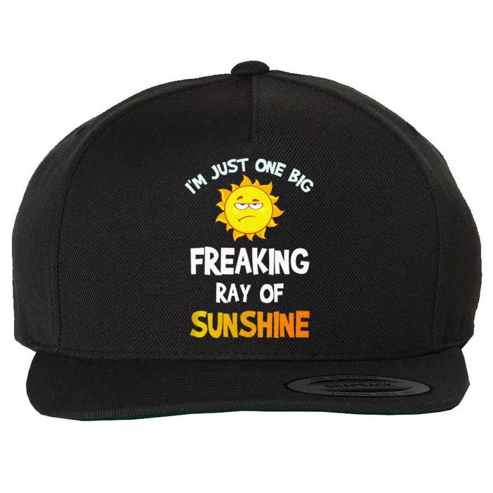 Im Just One Big Freaking Ray Of Sunshine Funny Idea Wool Snapback Cap